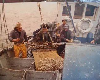 Veille photo de pêcheurs de sardines