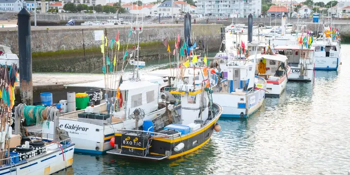 Des bateaux de pêches dans le port de Saint Gilles